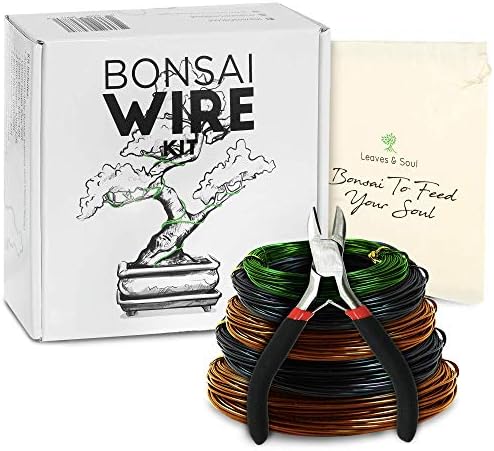 Baum Trainingsdraht Set – 5 Rollen (160 Fuß) Aluminiumlegierung Bonsai Pflanze Trainingsdraht | Drahtschneider | Canvas Aufbewahrungstasche – Bonsai Zubehör für Anfänger & Profis  |   Bonsai-Werkzeuge Bonsai-Werkzeuge Bonsai-Werkzeuge