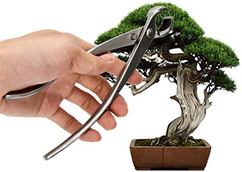 Professionelle Bonsai-Werkzeuge Knopfschneider Konkavschneider Gartenwerkzeuge, Edelstahl Knopfschneider, runder konkaver Astschneider, 210 mm, Edelstahl Knopfschneider, professionelle Qualität B  |   Bonsai-Werkzeuge Bonsai-Werkzeuge Bonsai-Werkzeuge